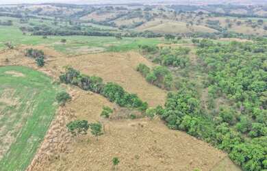 Imagem 9: Fazenda São Bento Bela Vista Goiás 32 Alqueires ou 68.5 alqueires ambos...