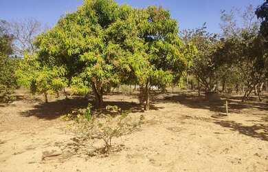 Imagem: A chácara está localizado em Buritis, MG à venda por R$420.000