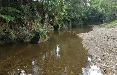 Imagem 4: Sítio 7 Alqueires Cultura em Água Limpa Goiás