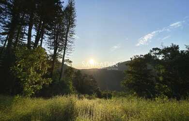 Imagem 3: Terreno à venda, 20686 m² por R$ 395.000 - Brejal- Petrópolis/RJ