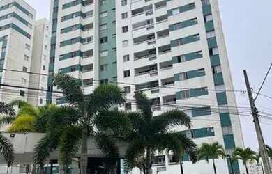 Imagem 10: Arboris Jabutiana - Reformado