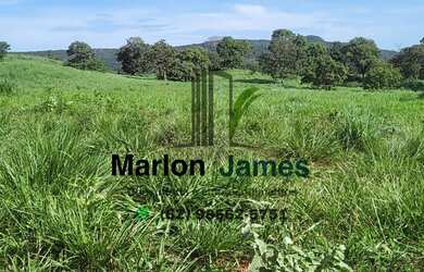 Imagem 15: FAZENDA EM JAUPACI-GO VENDA