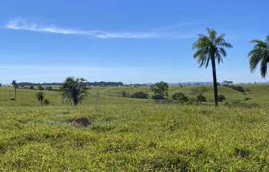 Imagem 7: Fazenda 302 alq. Em são Luiz Goiás e Ivolândia, valor 75 milhões
