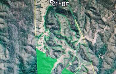 Imagem 10: Fazenda à venda, zona rural, São Miguel do Passa Quatro, GO