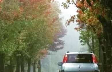 Imagem 11: Terreno - Bairro Piratini