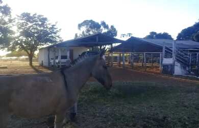 Imagem 10: Fazenda à Venda 472 Hectares Unaí - MG