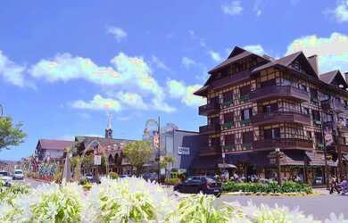 Imagem 11: Terreno - Bairro Dutra. 450m² de Área