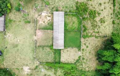 Imagem 5: Vendo fazenda 463 alqueires região de Barra do Garças MT