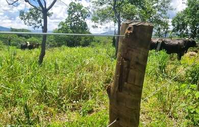 Imagem 13: Sitio 9 hectares e meia valor 295.000