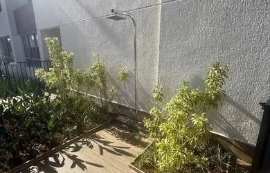 Imagem 9: Apartamentos à Venda em Umuarama, Osasco - 3 dormitórios, academia,...