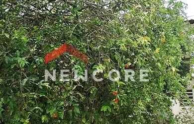 Imagem 11: Casa em Rua Setenta e Seis - Jaconé Sampaio Correia - Saquarema/RJ