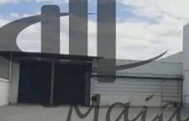 Imagem 6: Locação Galpão Sao Paulo Lapa Ref 39606