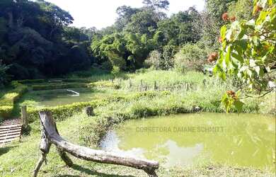 Imagem: A fazenda possui 450m² de Área e está localizado em Núcleo