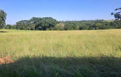 Imagem: A fazenda está localizado em Centro, Uberlândia à venda por