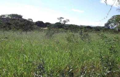 Imagem: A chácara está localizado em Jaboticatubas, MG à venda por