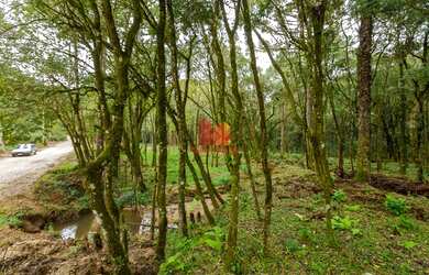 Imagem 9: ALMIRANTE TAMANDARE - Chácara - MARMELEIRO