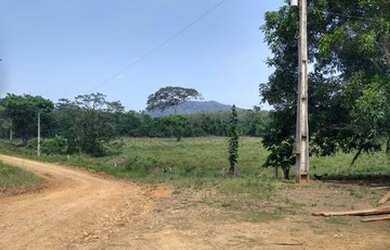 Imagem 5: Vende-se fazenda. 