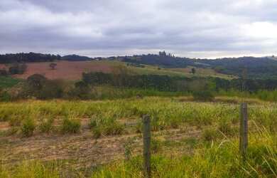 Imagem 3: Lote/Terreno para venda tem 500 metros quadrados em Jardim Tapajós -...