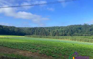 Imagem 9: AREA - PARQUE SANTA ROSA - SP