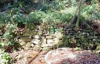 Imagem 3: Área de terra bairro Linha Olinda, Nova Petropólis.RS REF 246