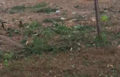 Imagem: O terreno possui 10m² de Área e está localizado em Três