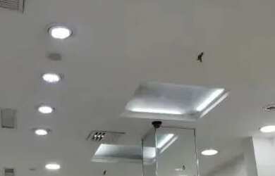 Imagem 6: Locação de Excelente loja no Térreo do Polo 1 com 33m²