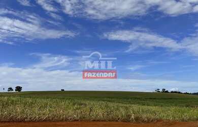 Imagem: A fazenda possui 155m² de Área e está localizado em Avelinópolis