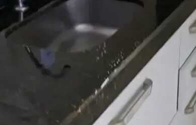 Imagem 12: Imóvel para aluguel com 67 metros quadrados com 3 quartos