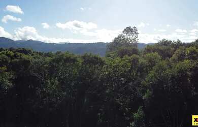 Imagem 4: Sítio / Chácara para Venda em Nova Petrópolis, Linha Olinda