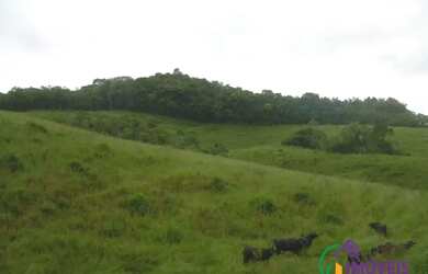 Imagem 2: AREA - PARQUE SANTA ROSA - SP