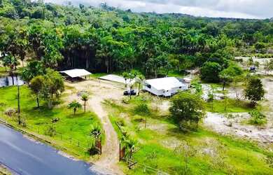 Imagem 7: Sítio km 45 de Novo Airão, Igarapé de água corrente, Luxo