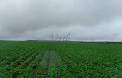 Imagem 3: Fazenda à Venda 472 Hectares Unaí - MG