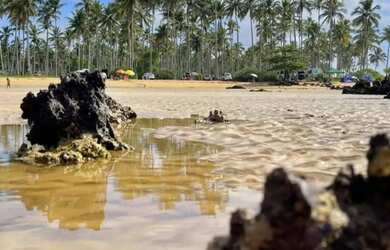 Imagem 12: Casa de Praia Aracruz - Aluguel Temporada