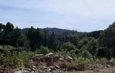 Imagem 2: Terreno - Bairro Dutra. 450m² de Área