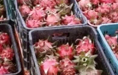 Imagem: A fazenda possui 28m² de Área e Imóvel novo e está localizado