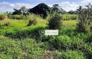 Imagem 9: Terreno à venda, 2646 m² por R$ 670.000,00 - Nova Veneza - Paulínia/SP