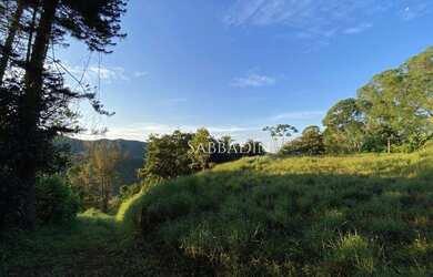 Imagem 5: Terreno à venda, 20686 m² por R$ 395.000 - Brejal- Petrópolis/RJ