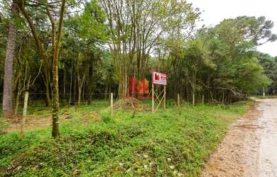 Imagem 3: ALMIRANTE TAMANDARE - Chácara - MARMELEIRO