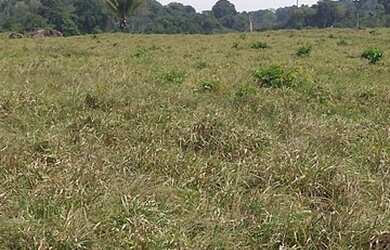 Imagem 2: Vende-se fazenda. 