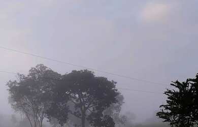 Imagem 6: Fazenda à venda, zona rural, São Miguel do Passa Quatro, GO