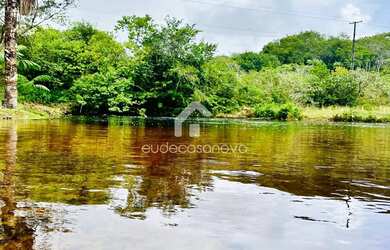 Imagem 12: Sítio km 45 de Novo Airão, Igarapé de água corrente, Luxo