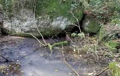 Imagem: O terreno possui 5.000m² de Área e está localizado em Nova