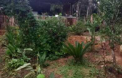 Imagem 13: Chacara prox a rodovia apenas 135 mil reais