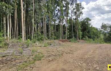 Imagem 8: Terreno para Venda em Nova Petrópolis, Pousada da Neve