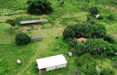 Imagem 8: Vendo fazenda 463 alqueires região de Barra do Garças MT
