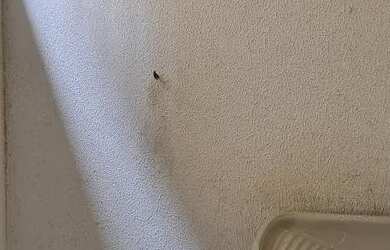 Imagem 4: Vendo, ou troco apartamento, na avenida iguatemi