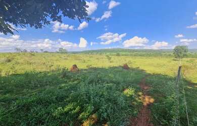 Imagem: A fazenda está localizado em Itarumã, GO à venda por R$19.000.000