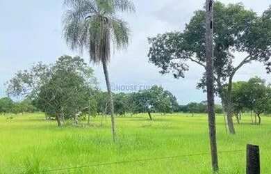 Imagem: A fazenda possui 300m² de Área e está localizado em Rosário