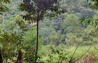 Imagem 2: Terreno 1800 m² topografia aclive leve, na frente poucas árvores, nos...