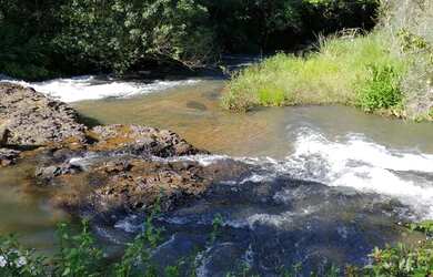 Imagem 16: Sítio / Fazenda 11,8242 ha próxima a Jeriquara- SP